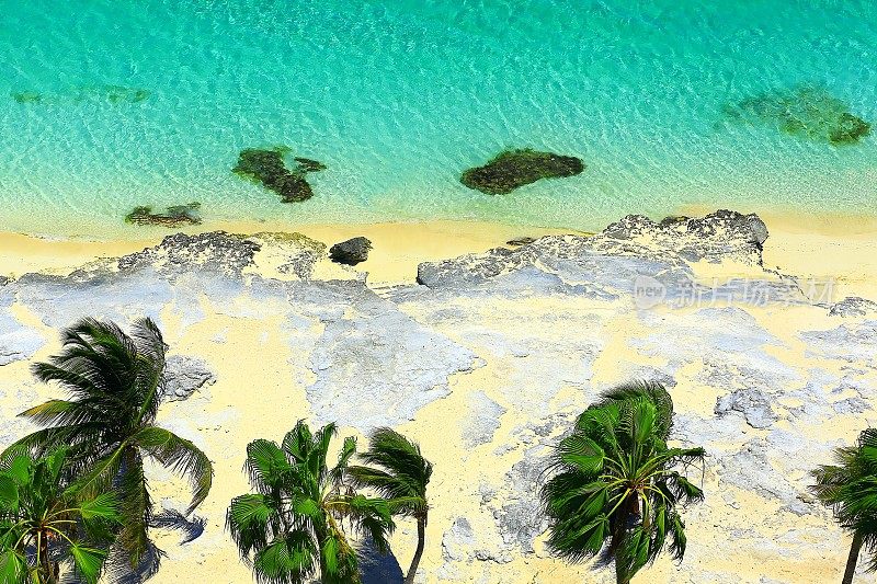 在田园般的绿松石加勒比海荒芜的棕榈海滩上——墨西哥坎昆