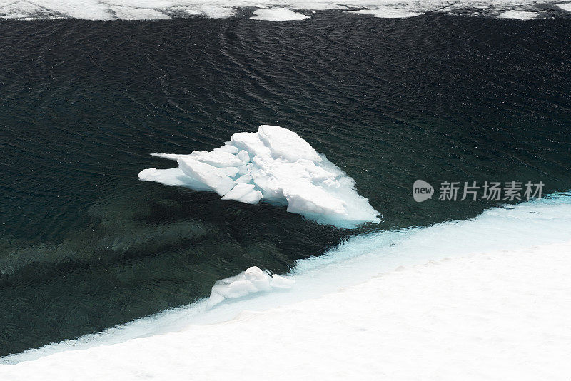 在温暖的夏季，湖面上融化的冰形成了浮冰