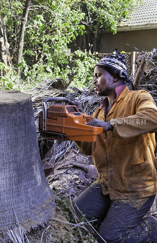 一个非洲人正在砍树干