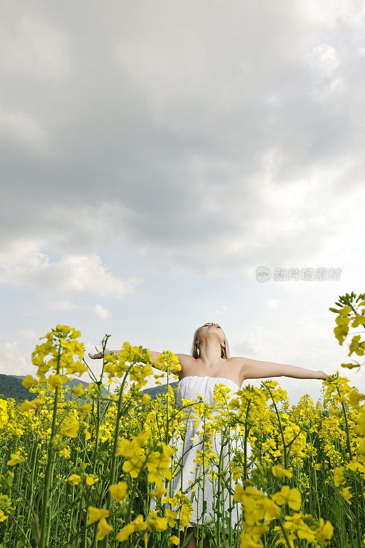 自由和鲜花