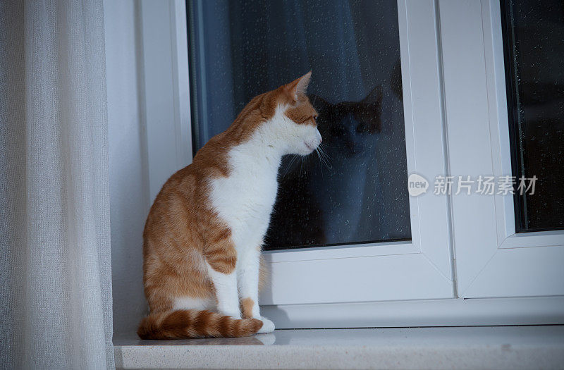 看着雨夜