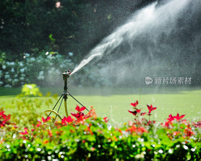 洒水器在工作，花儿闭合