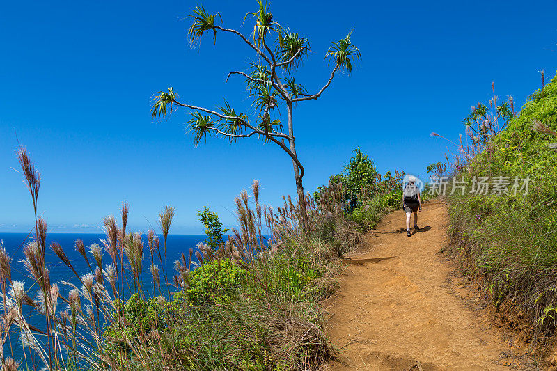 走在卡拉劳小道上的女人，纳帕利海岸州立公园，考艾岛