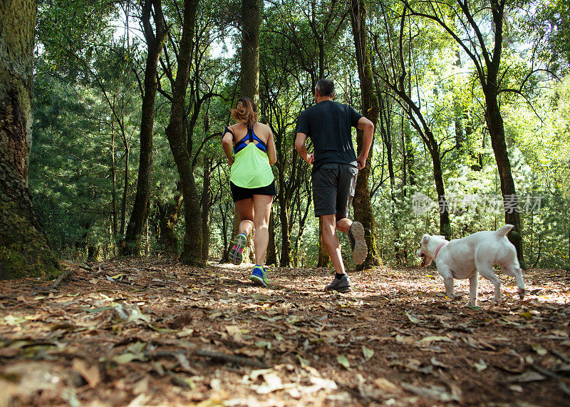 后视图拉丁夫妇与狗在森林中奔跑