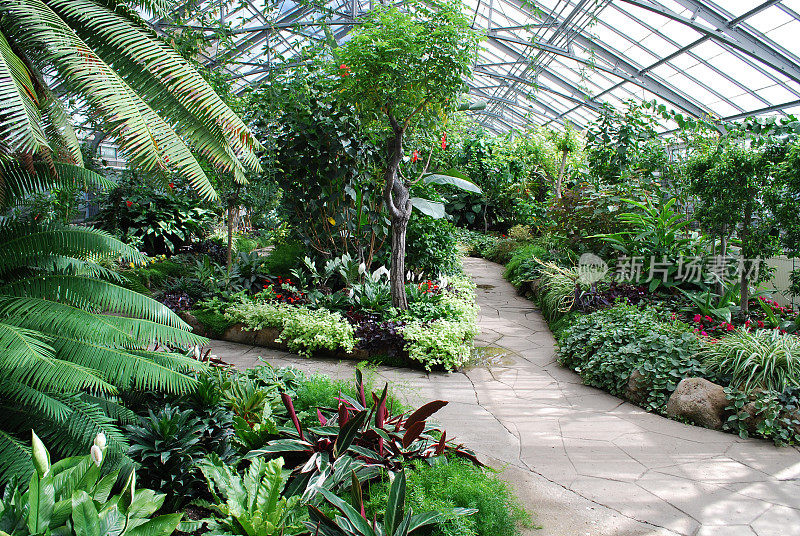 多伦多的热带温室花园