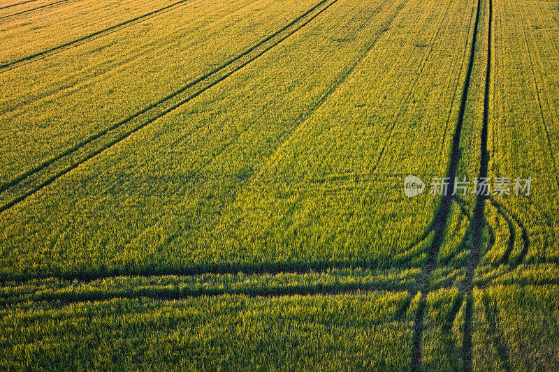 农业领域的结构