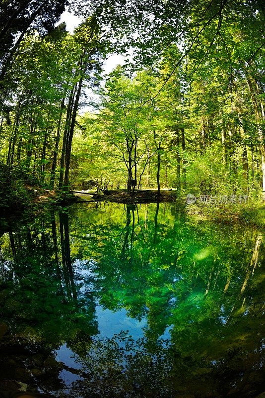 森林中的湖泊