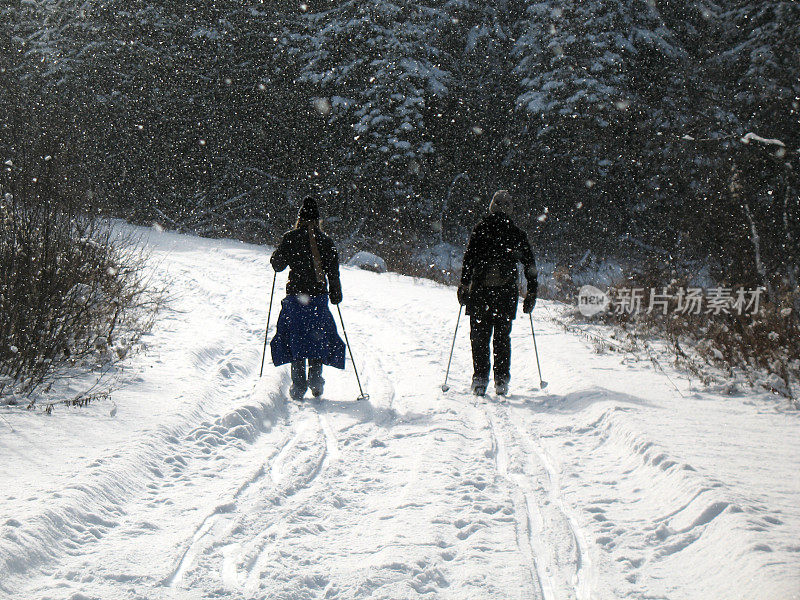 在飘雪中滑雪