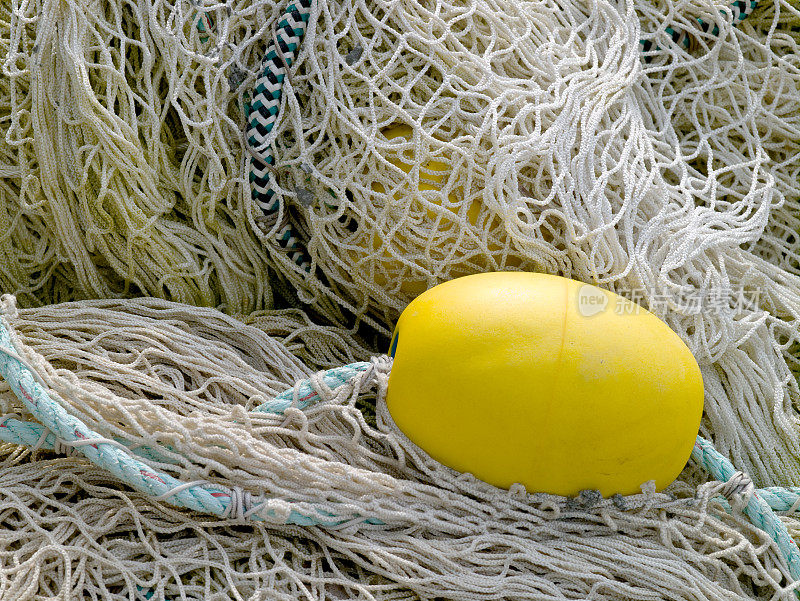 黄色的浮在渔网上