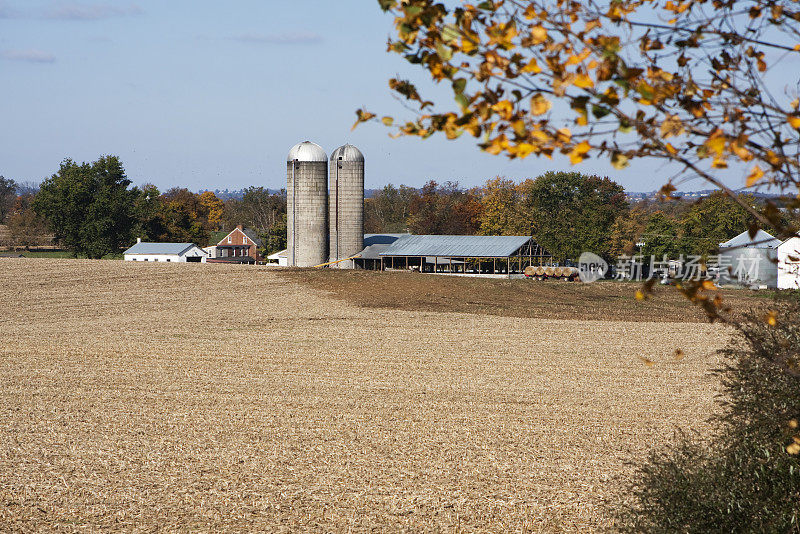 遥远的农场和田野在一个晴朗的秋天的一天