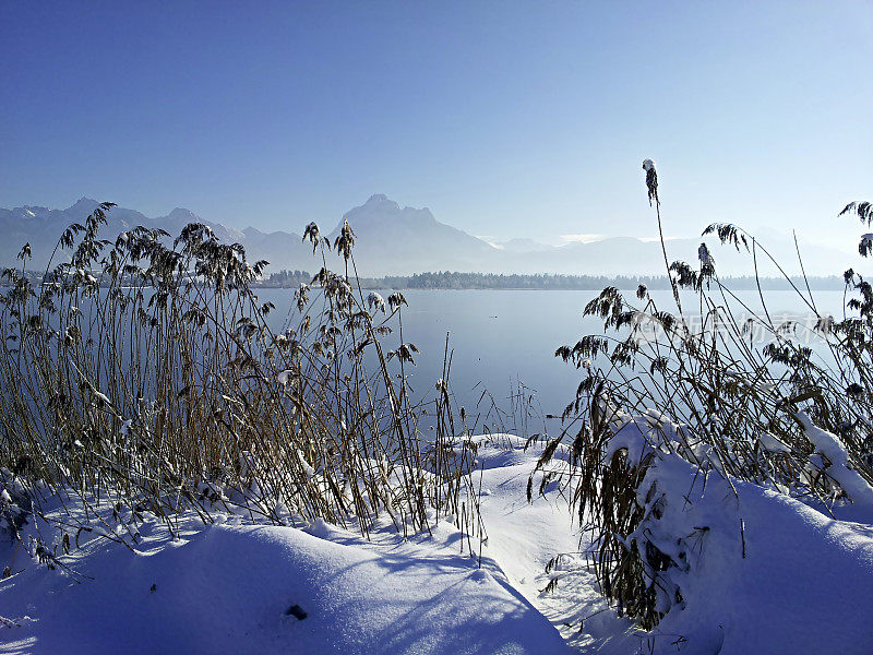 德国的高山湖，四周是雪和山