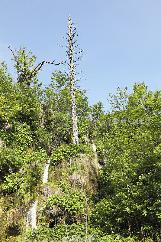 郁郁葱葱的垂直瀑布，水流流入绿色的克罗地亚Plitvice