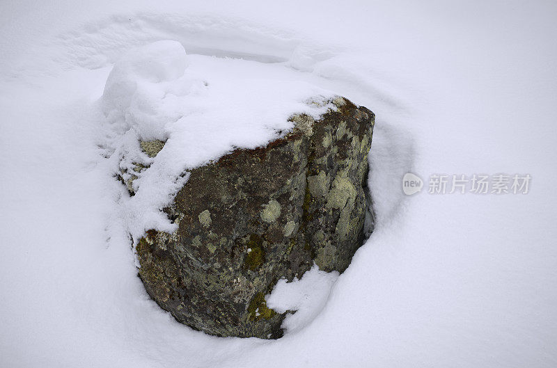 冬天被苔藓、苔藓和雪覆盖的大岩石