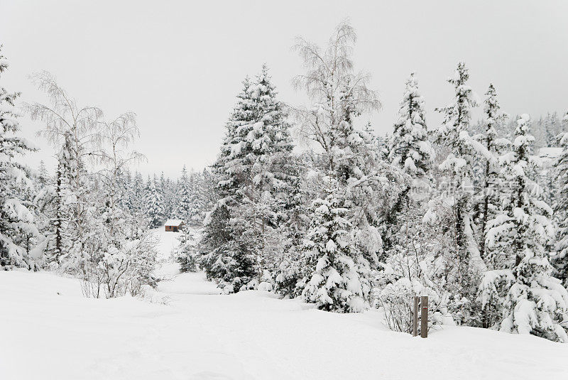 冰雪景观中的冬季小屋