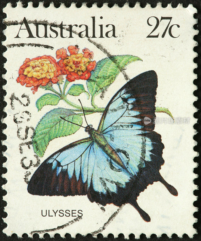 澳大利亚邮票上的尤利西斯蝴蝶