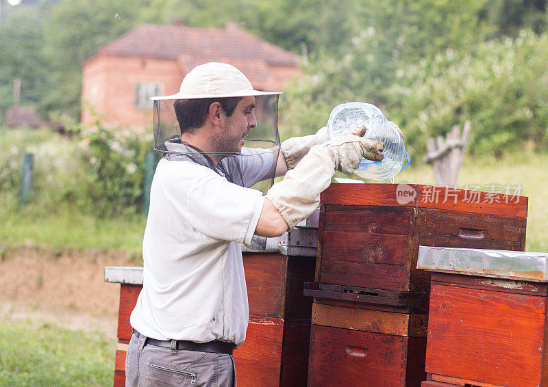 养蜂人在他的养蜂场工作