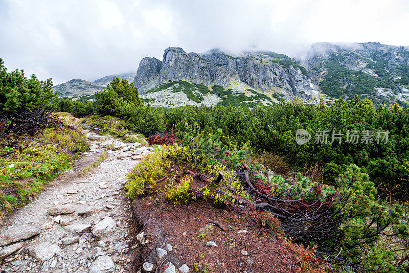 高山