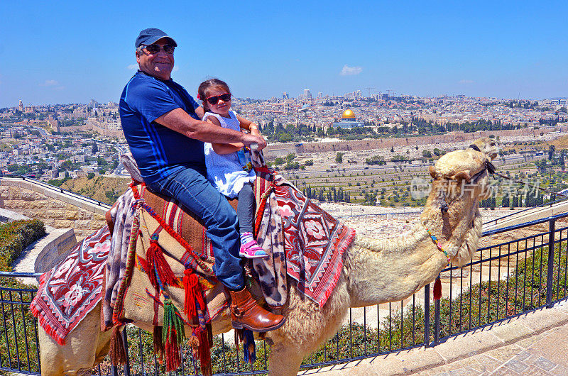 游客们骑着骆驼对抗以色列耶路撒冷古城。