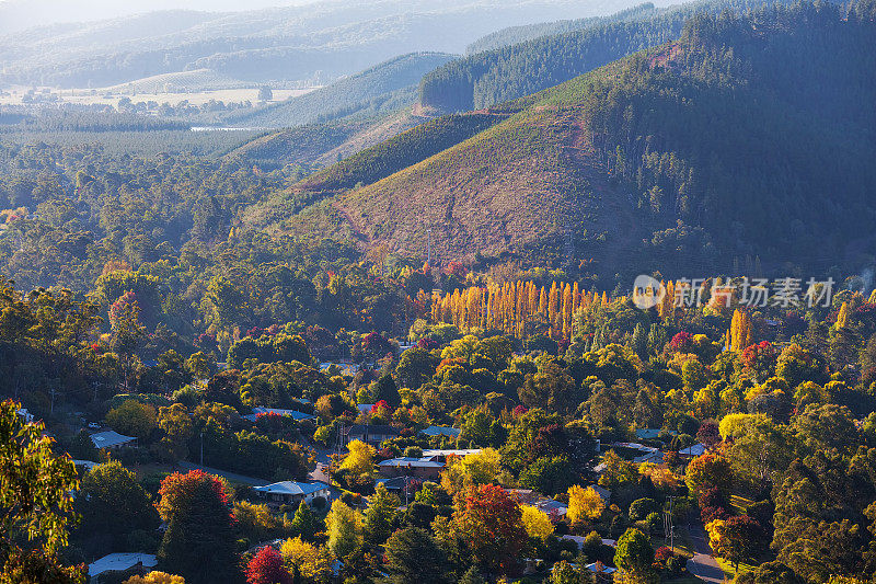 秋天色彩的澳大利亚乡村小镇。明亮,维多利亚,澳大利亚