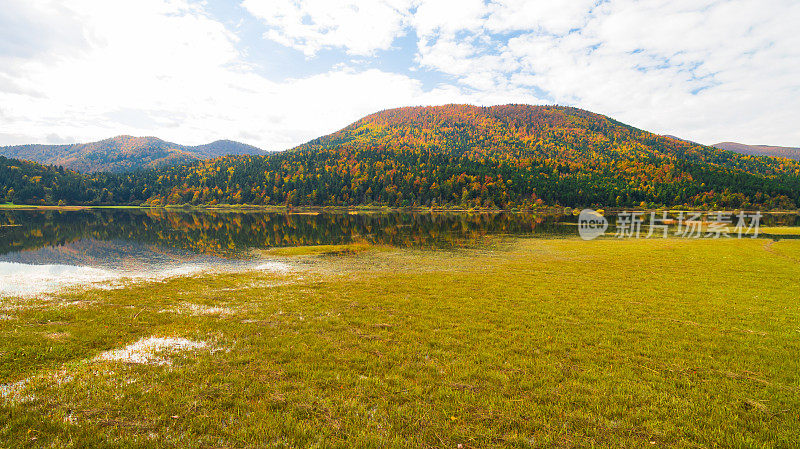 无人机俯瞰湖面上令人惊叹的秋色。Cerknisko湖、斯洛文尼亚