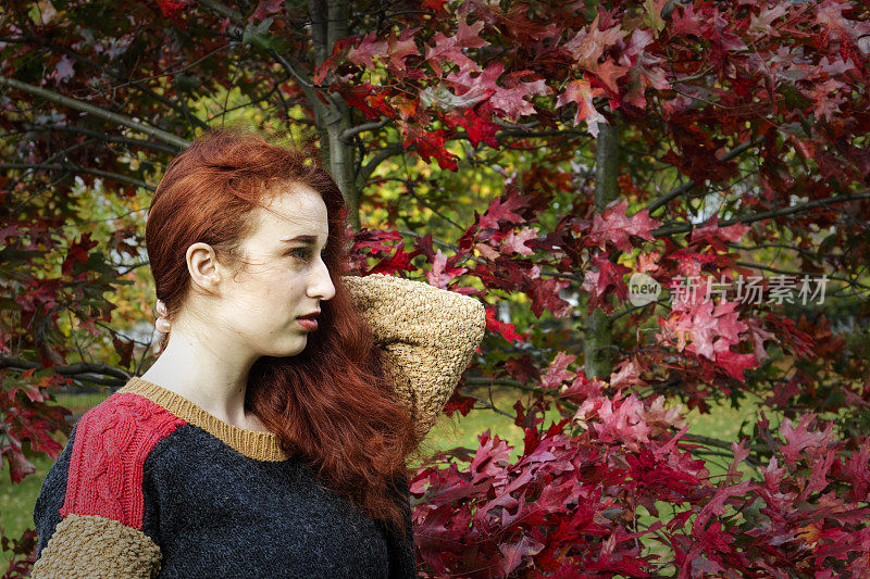 红头发的秋姑娘顶着红橡树叶