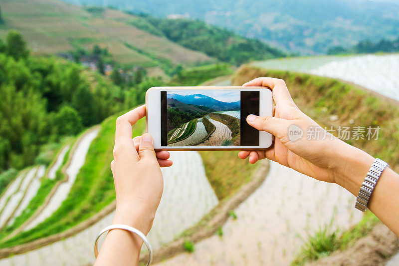 女孩用手机拍摄稻田风景