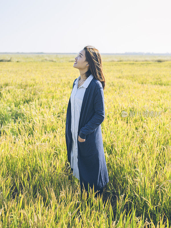 一个美丽的女人走过麦田在一个阳光灿烂的日子