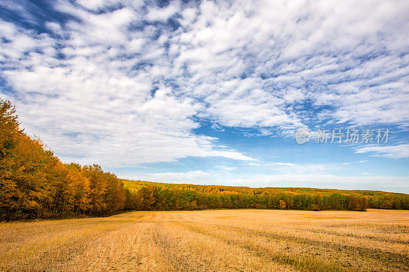 一幅色彩丰富的秋色田园风景画