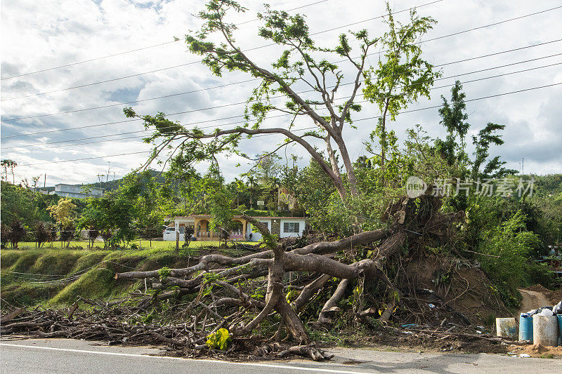 飓风玛丽亚在波多黎各造成破坏
