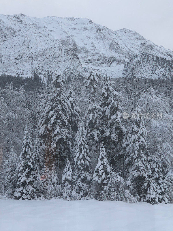 在欧洲阿尔卑斯山脉，冰雪覆盖的冬季景观和森林