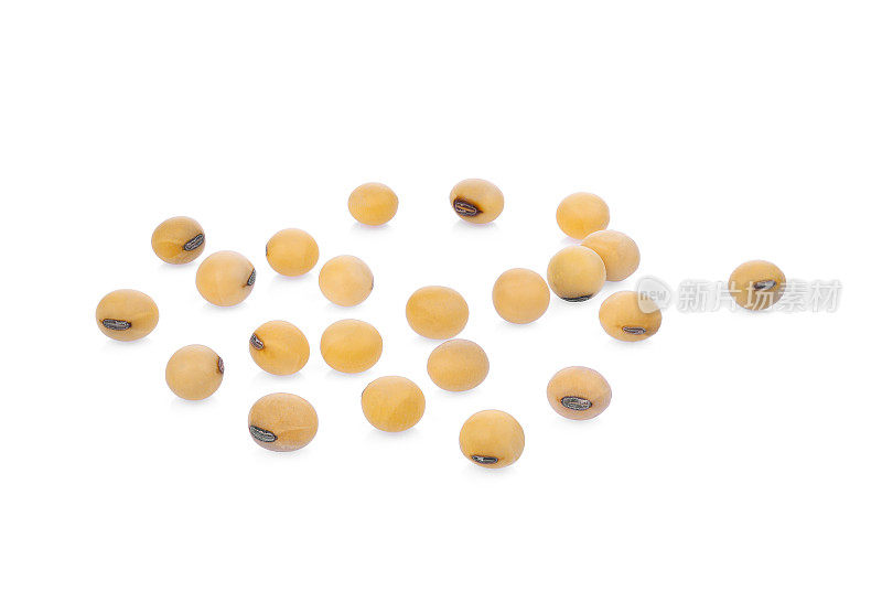 在白色背景下分离的大豆