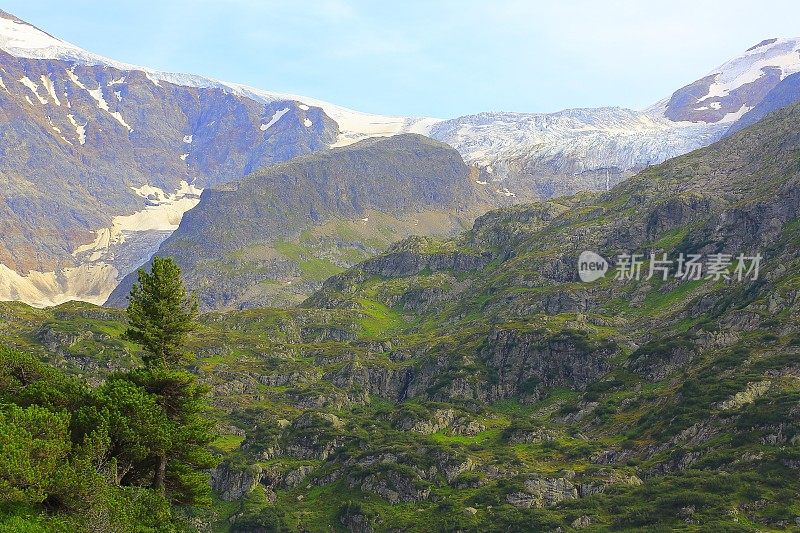 极端地形景观:苏斯顿山口，田园诗般的冰川和松树绿色林地山谷，戏剧性的瑞士雪山，田园诗般的乡村，伯尔尼斯高地，瑞士阿尔卑斯山，瑞士