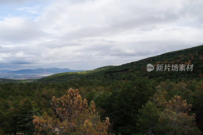 秋天的风景