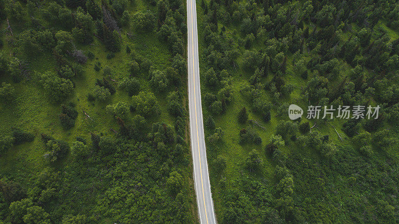 阿拉斯加公路和森林鸟瞰图