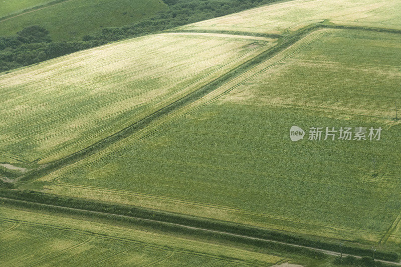 鸟瞰图绿色的田野，康沃尔，六月