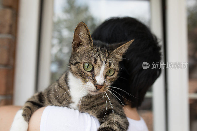 一个陌生的年轻女人抱着她的条纹猫