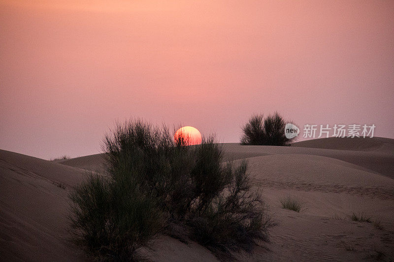 迪拜:阿拉伯沙漠上的日落
