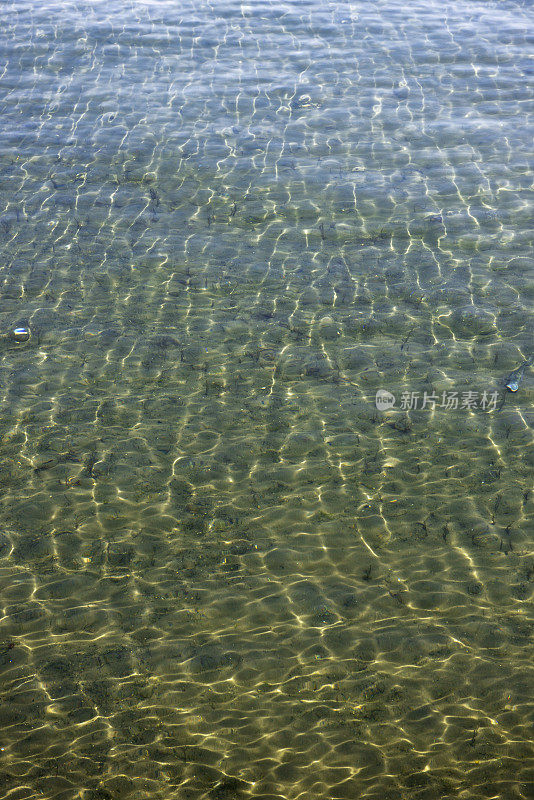 浅海的水面纹理背景