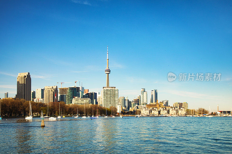 多伦多市中心天际线全景与安大略湖码头和清澈的蓝天