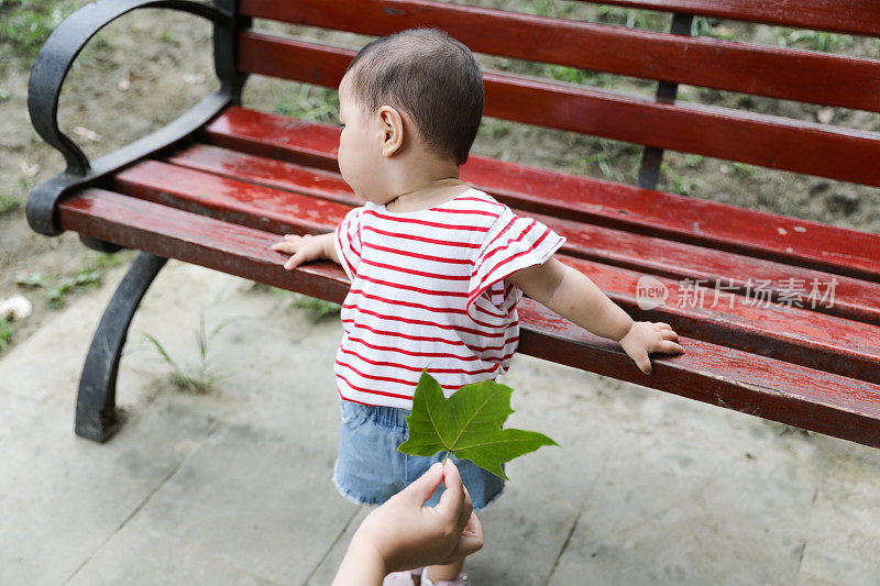 当她的父母试图给她一片叶子时，一个中国小女孩把头转到另一边，双手放在长凳上