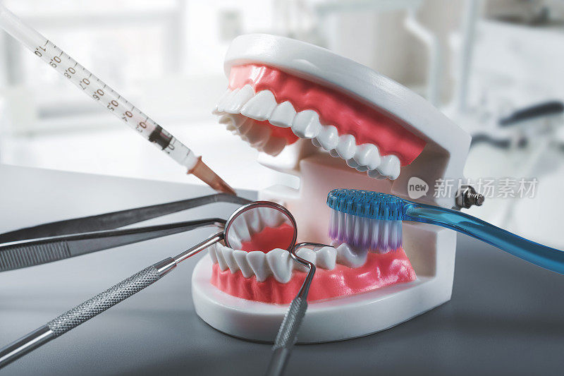 牙科保健和治疗-牙医工具与牙齿模型在诊所办公室