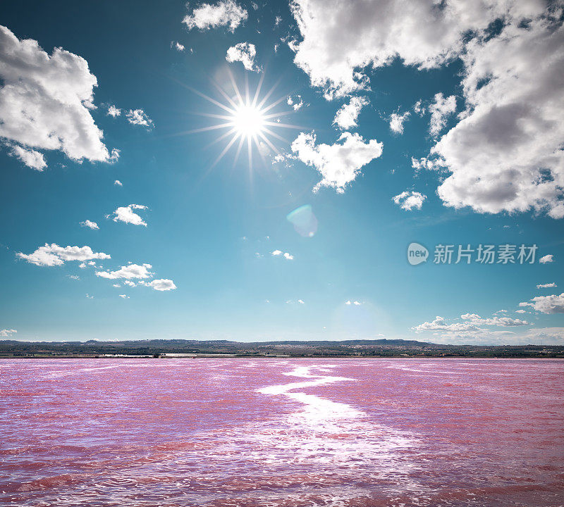 托雷维哈的粉色湖