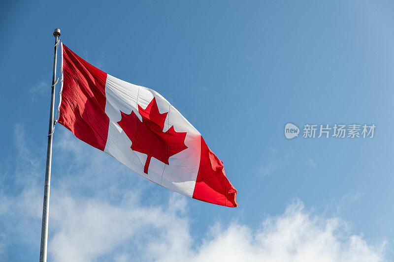 一面巨大的加拿大国旗迎风飘扬
