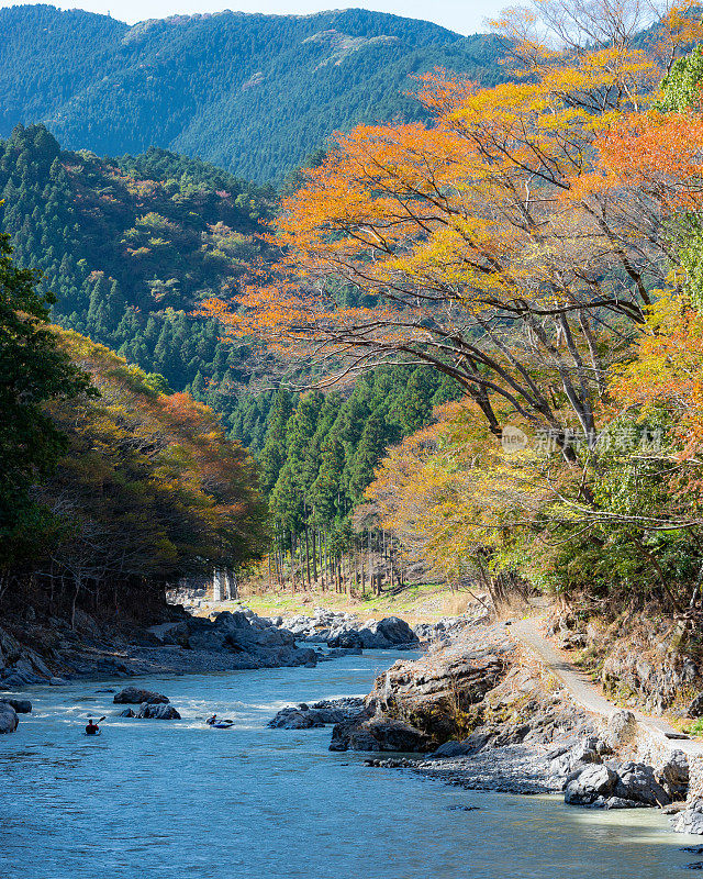 东京Oume的Mitake峡谷步道