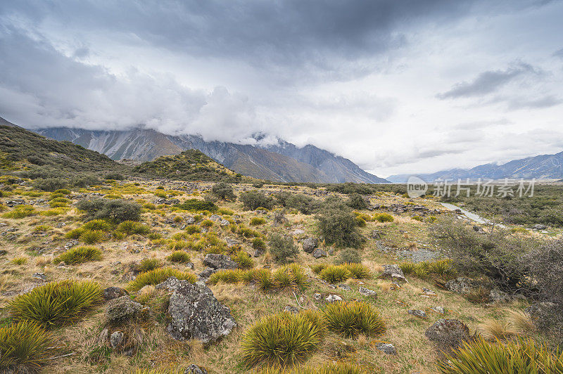 新西兰风景优美的库克山在夏季以新西兰南岛的自然景观为背景