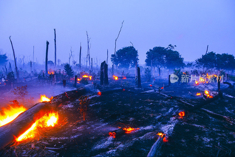 亚马逊森林大火。