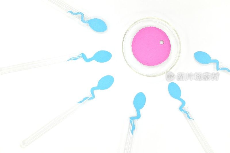 体外受精概念。试管和培养皿中的精子和卵细胞。