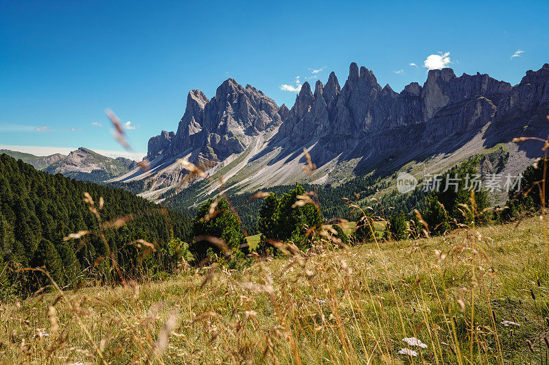 Dolomites上的户外标志性景观:Seceda著名地标