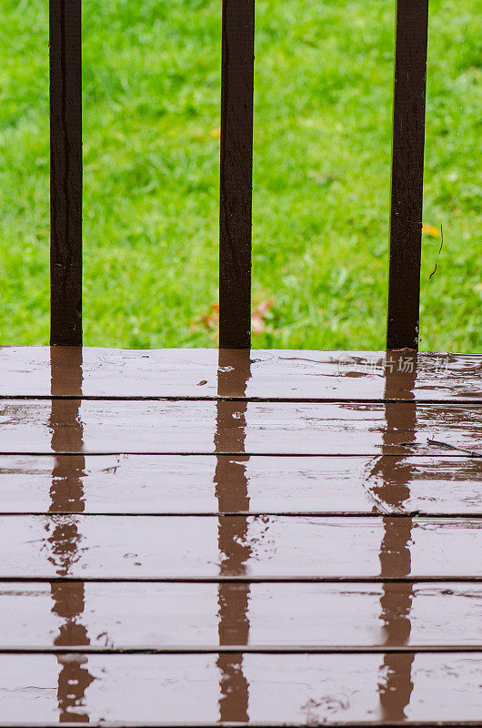 雨落在后院的院子里