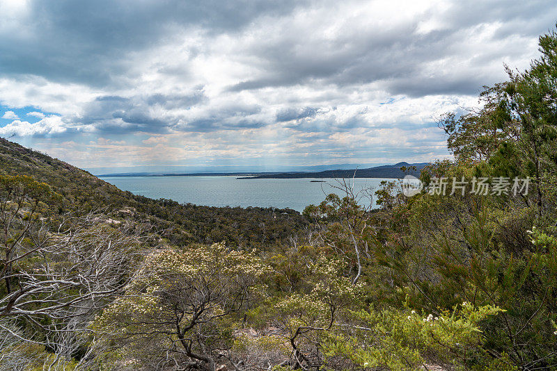 澳大利亚塔斯马尼亚州弗雷西内半岛的弗雷西内国家公园，通往葡萄酒杯湾和科尔斯湾的步道风景